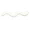 5oz. White Glue by Craft Smart®